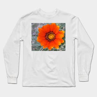 Gazania 5 Long Sleeve T-Shirt